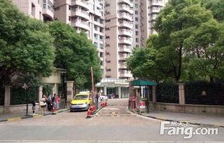 二楼花园爆料视频播放,揭秘神秘花园背后的故事